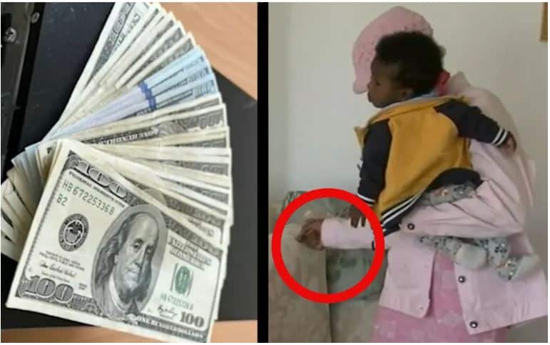 Al abrir el cojín encontró un fajo de billetes, había 36 mil dólares