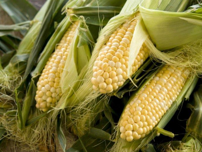 México busca aumentar exportaciones a África
