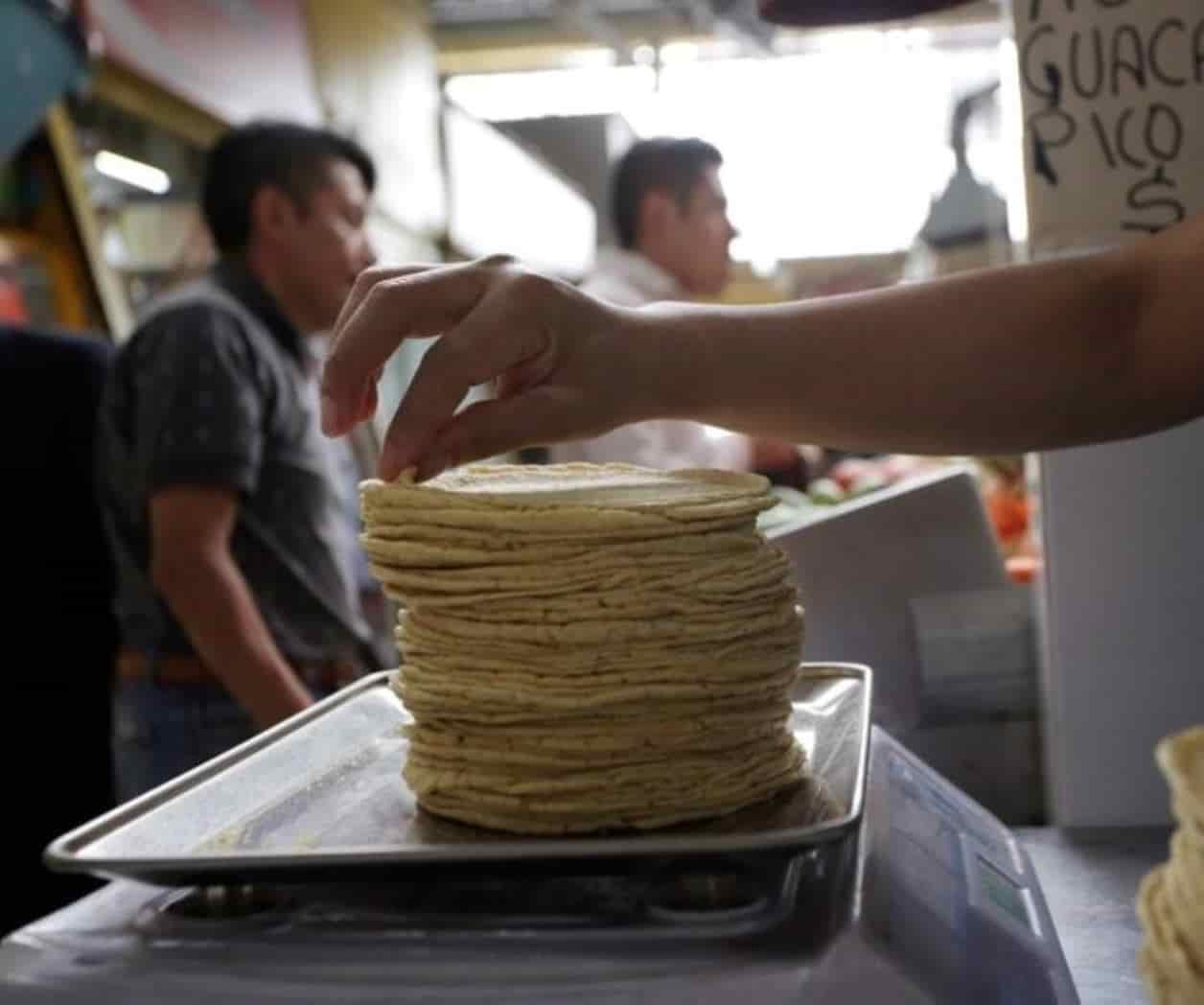 Se mantiene estable precio de la tortilla