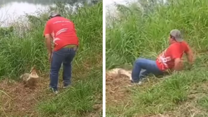 Cocodrilo ataca a hombre ebrio en Tabasco