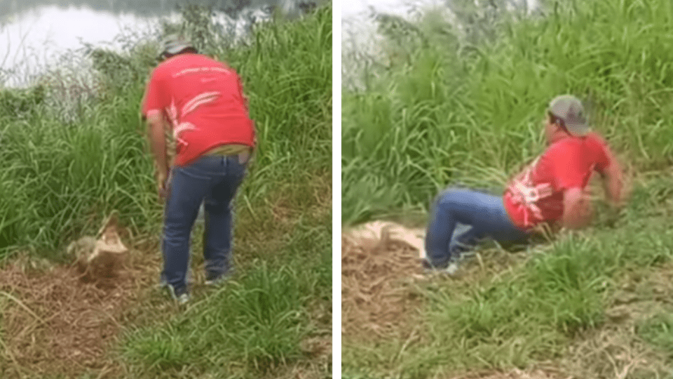 Cocodrilo ataca a hombre ebrio en Tabasco