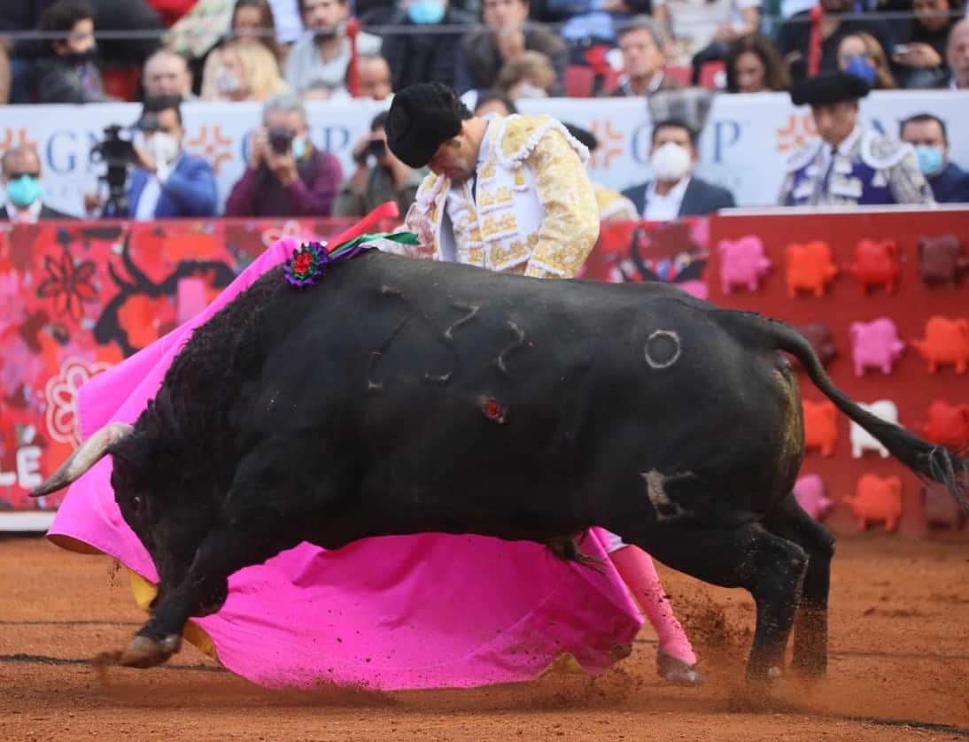 La Plaza México se queda sin toros; Juez otorga suspensión definitiva a eventos taurinos