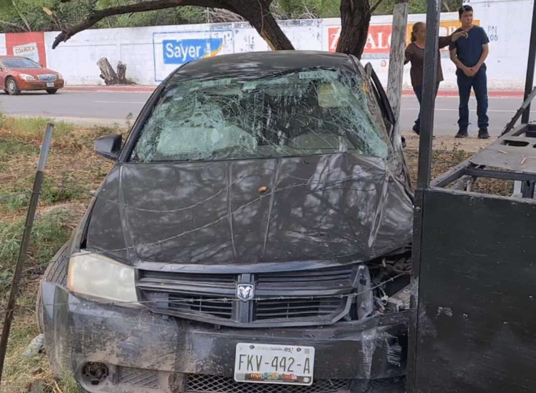 Rápida y furiosa conductora se queda sin frenos y choca contra un árbol