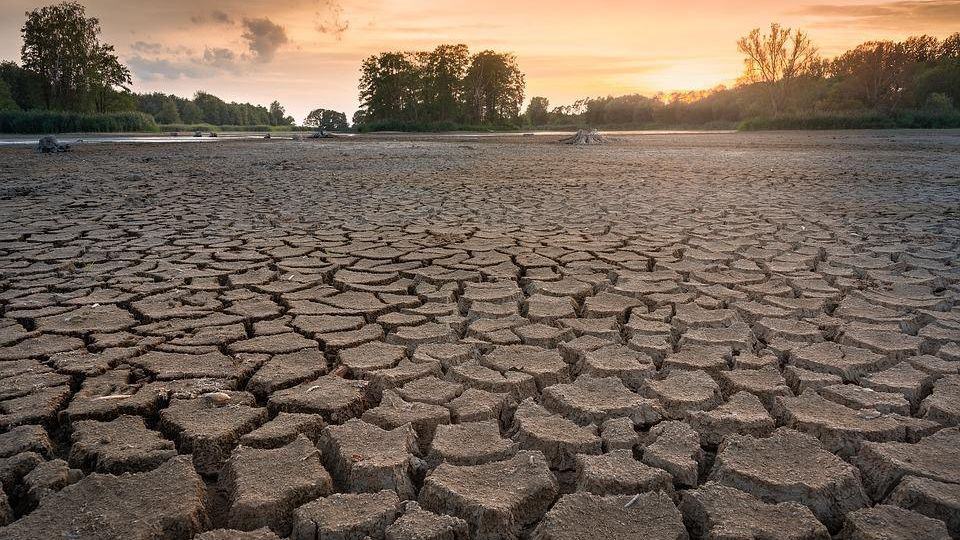 En 2050, tres de cada cuatro personas padecerían problemas de sequía: ONU
