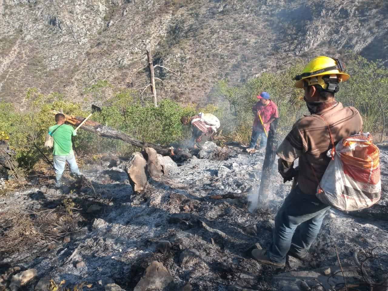 Los brigadistas en el lugar de los hechos.
