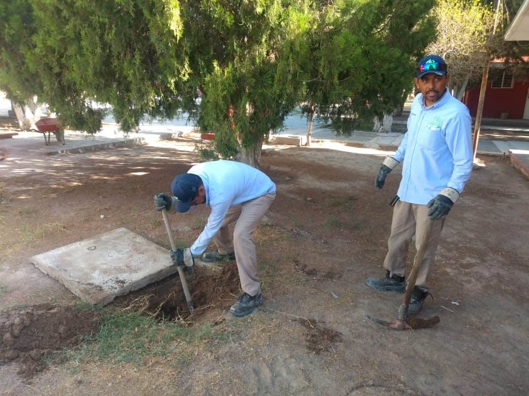 Para apoyar a las instituciones educativas con desabasto o colapso de la red sanitaria.