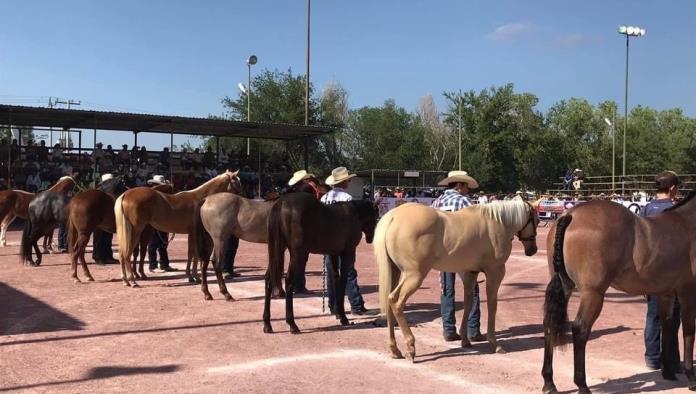 San Buenaventura: Preparan concurso de caballos