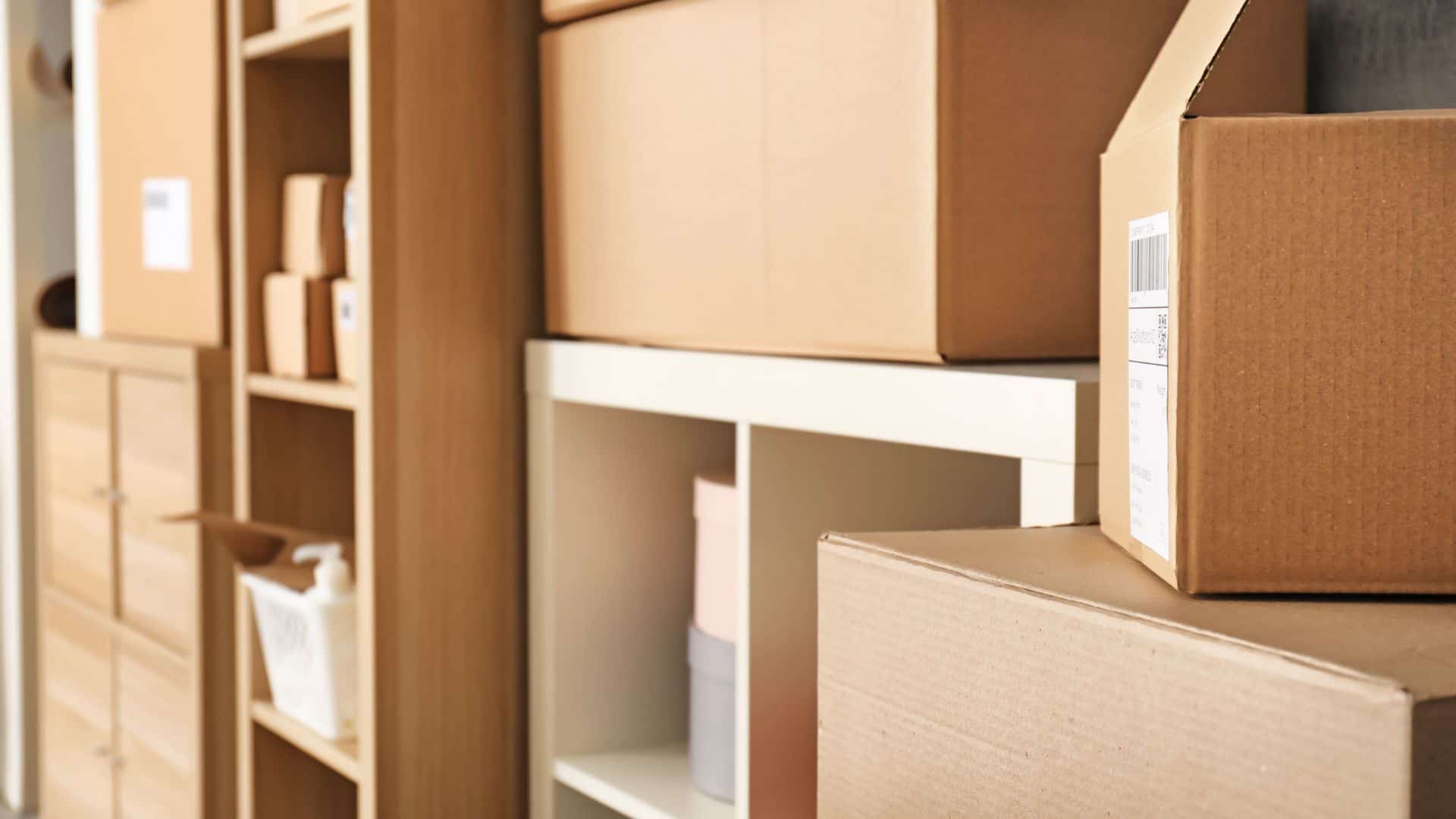 Envíos con paquetería Castores, ¿qué debes saber? 