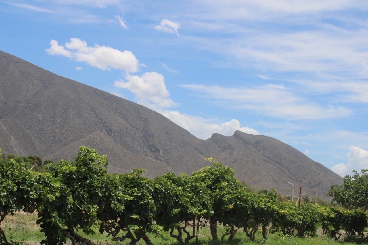 Cuatro Ciénegas: Visita Beto Bodegas Ferriño