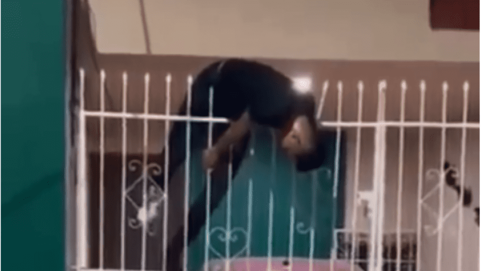 Ladrón intenta robar casa y queda ensartado en reja en Campeche
