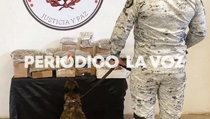 Hasta 24 paquetes de marihuana se han incautado a unidades de empresas de paquetería.