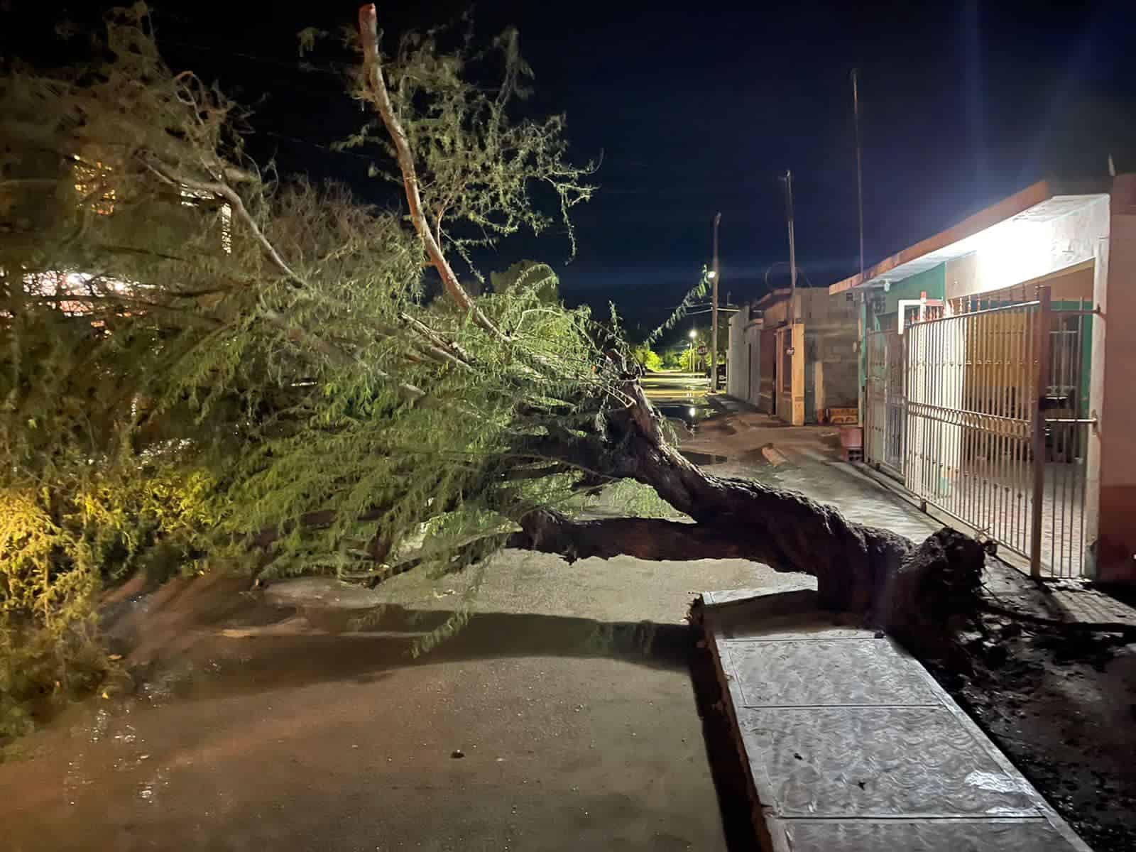 Azotó tormenta eléctrica a los Cinco Manantiales; Deja daños materiales