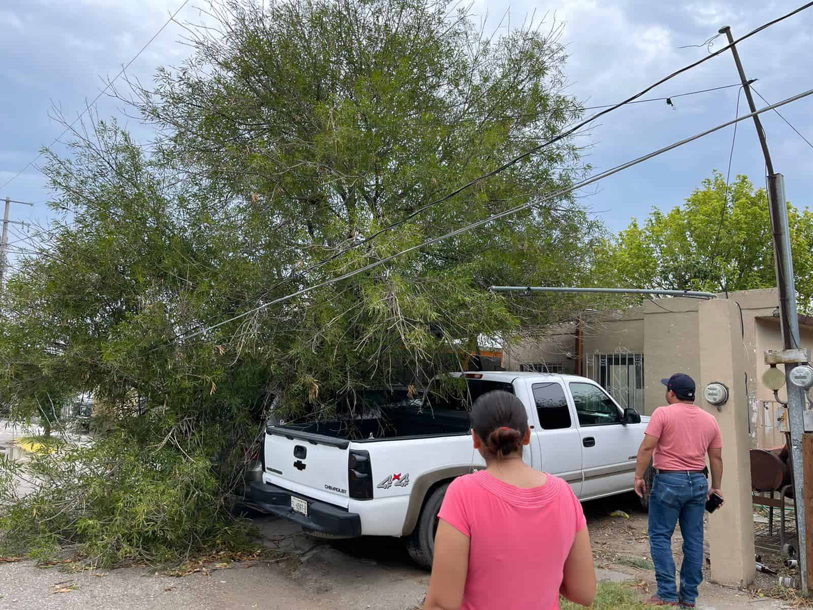 por la tormenta eléctrica recorre Pily Valenzuela los sectores afectados