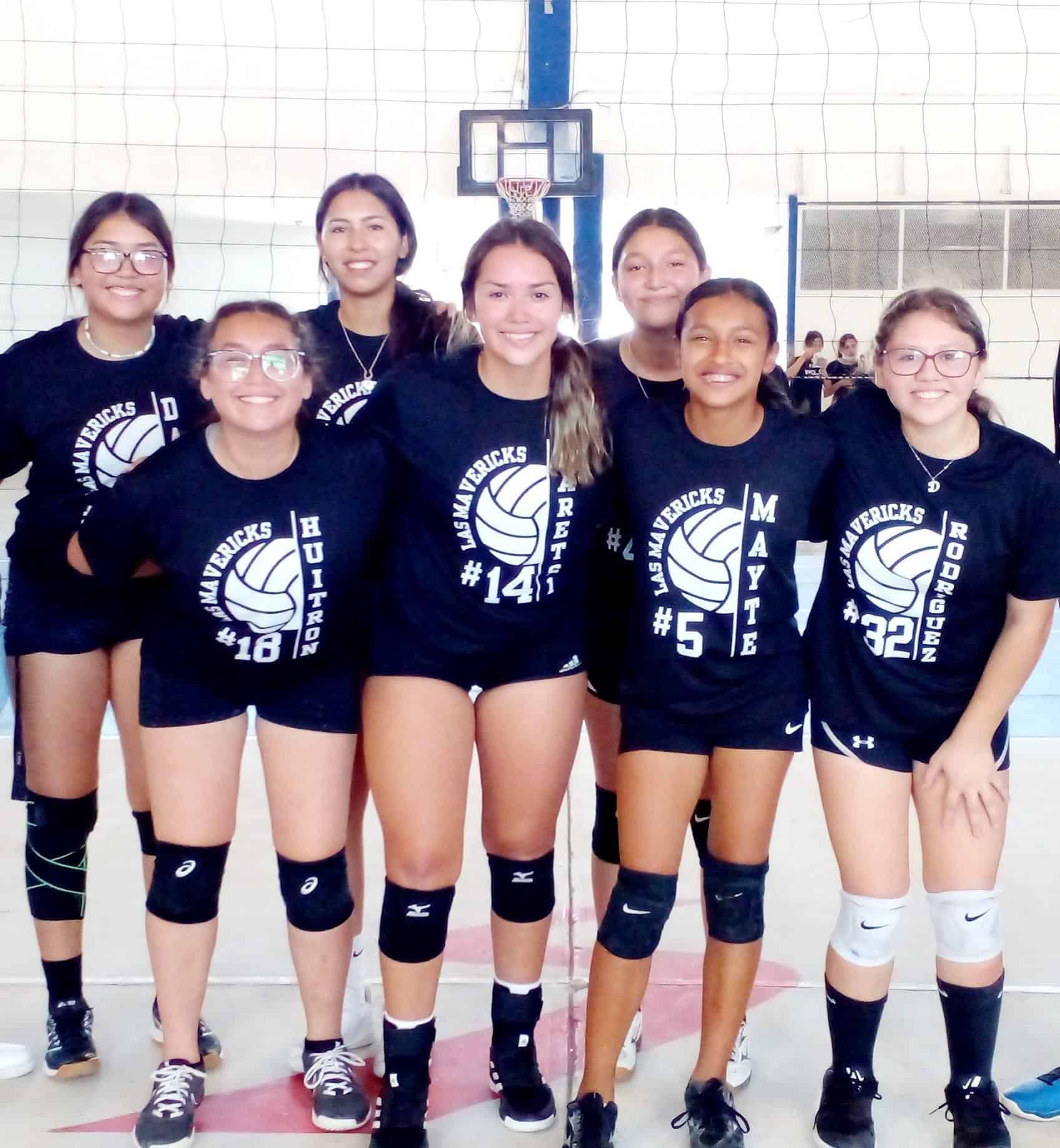 Sigue la marcha del voleibol