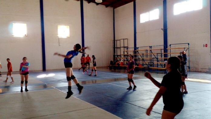 Sigue la marcha del voleibol
