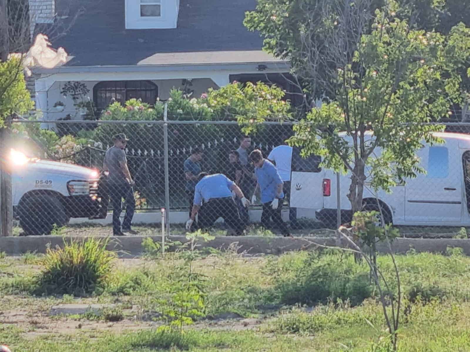 Matan 4 pitbull a quincuagenario; Quedó irreconocible