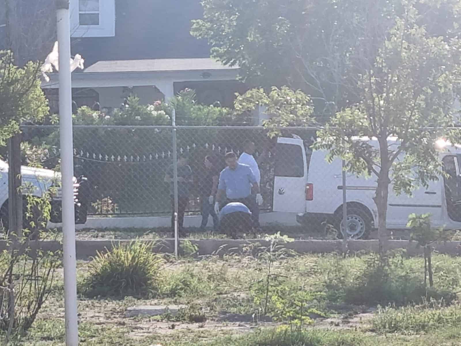 Investigan a dueño de pitbulls asesinos; Por homicidio culposo