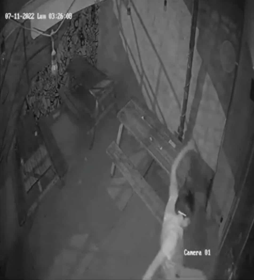 Roban jóvenes en The Beer Box