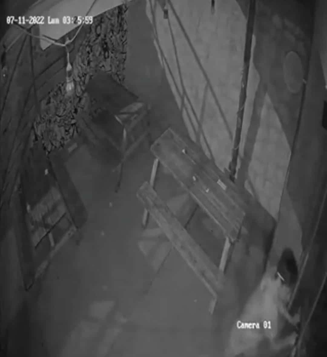 Roban jóvenes en The Beer Box