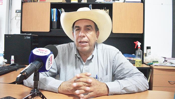 Temen por adictos en libertad