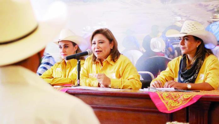 Anuncian Cabalgata de Santo Domingo