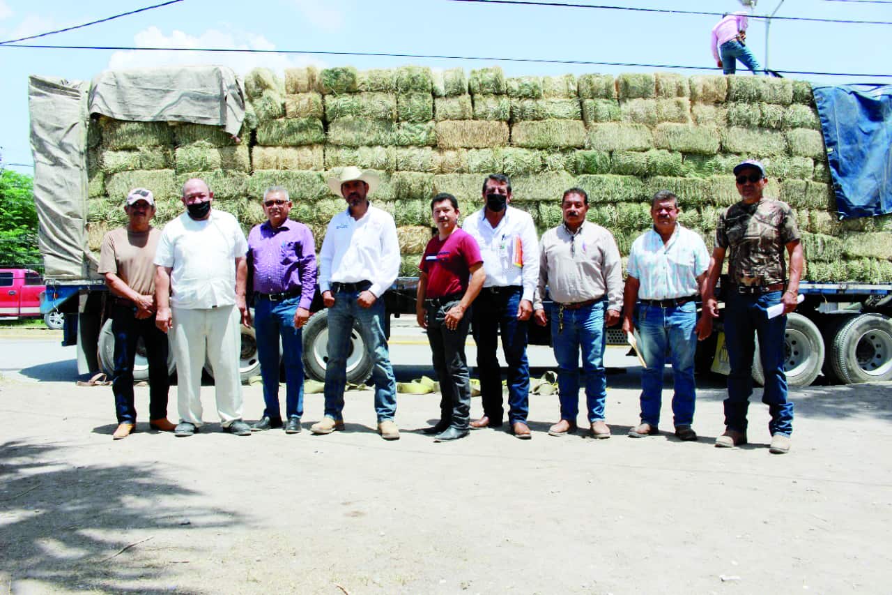 Fueron un total de 530 pacas el primer lote que arribó a las oficinas de Desarrollo Rural para su reparto a habitantes de todos los ejidos de Castaños.