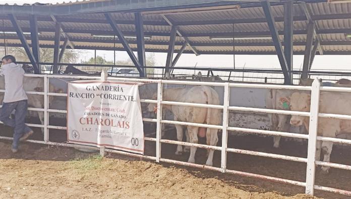Frontera | Consumen en Estados Unidos carne de Coahuila