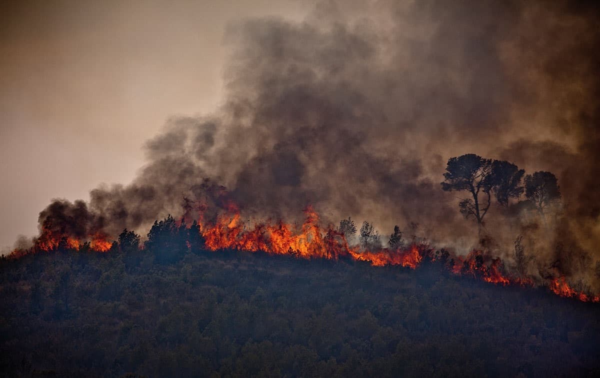 Múzquiz | Arde la sierra de Santa Rosa