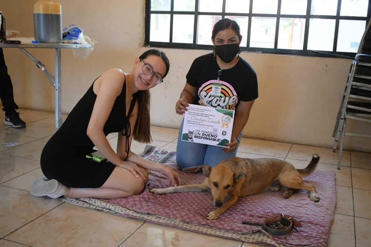 Avanza programa ‘Bienestar Animal’; Con esterilización gratuita de mascotas