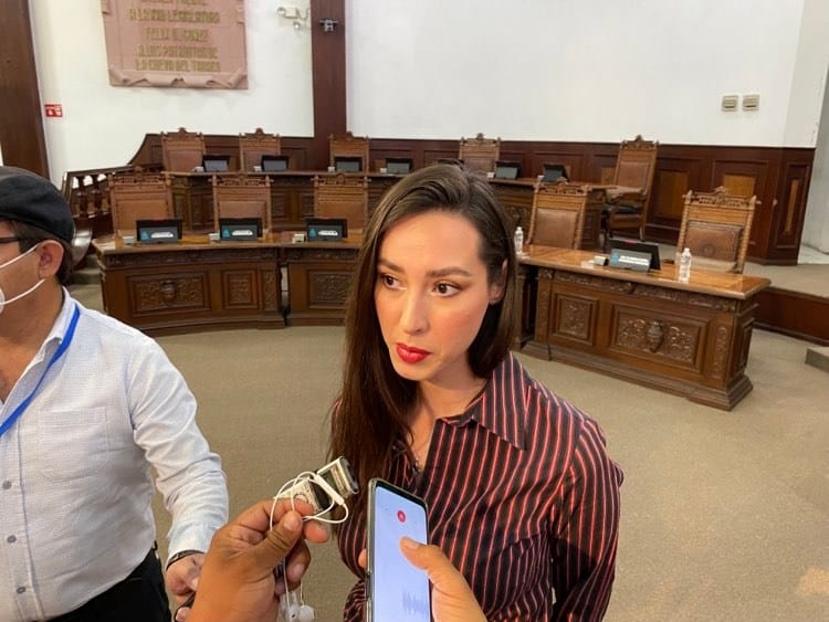 Lizbeth Ogazón, Diputada Local de Morena.