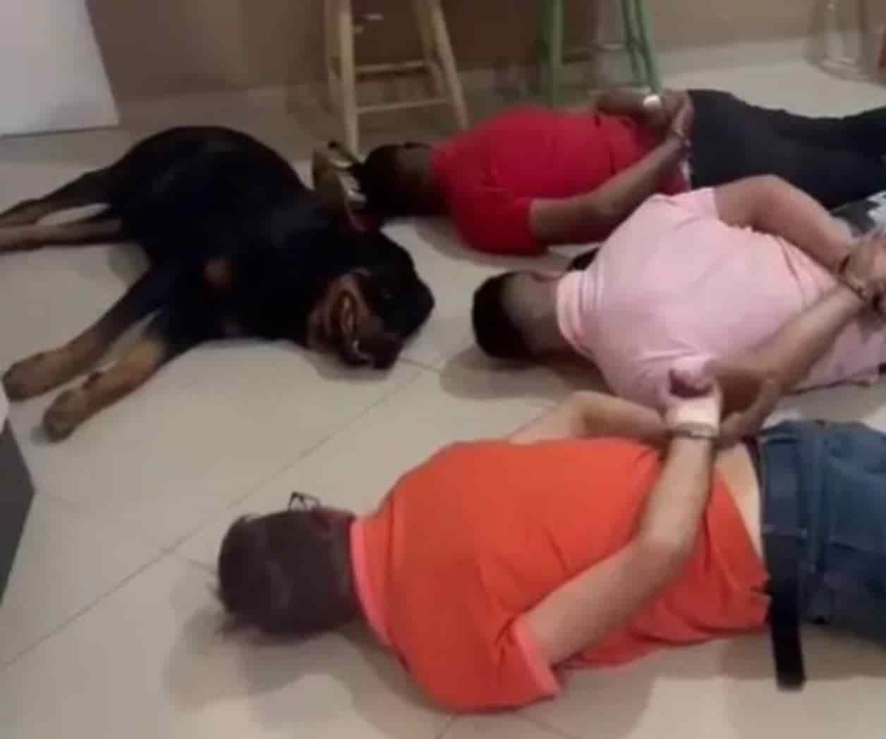 Perro guardián se quedo dormido juntos a narcotraficantes en operativo
