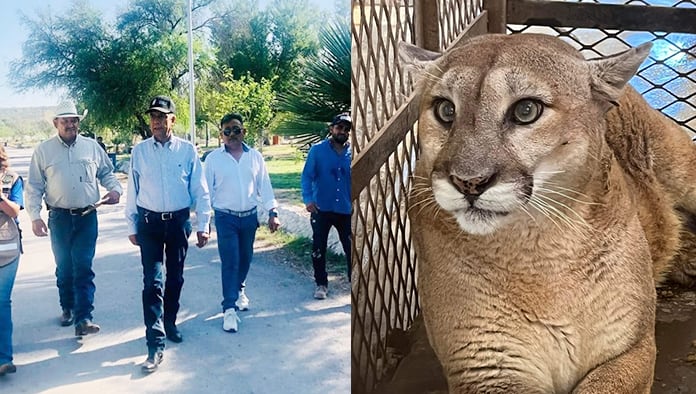 El alcalde Mario Dávila, realiza un recorrido por las instalaciones del Zoológico, para evaluar las condiciones del lugar y ofrecer un  mejor servicio a los visitantes.
