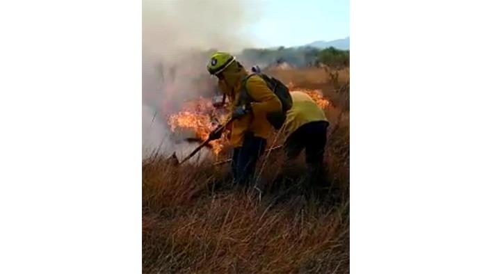 Múzquiz | Arrasan incendios con 30 hectáreas