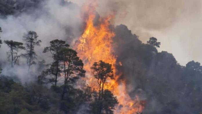Incendios forestales; han sido los peores