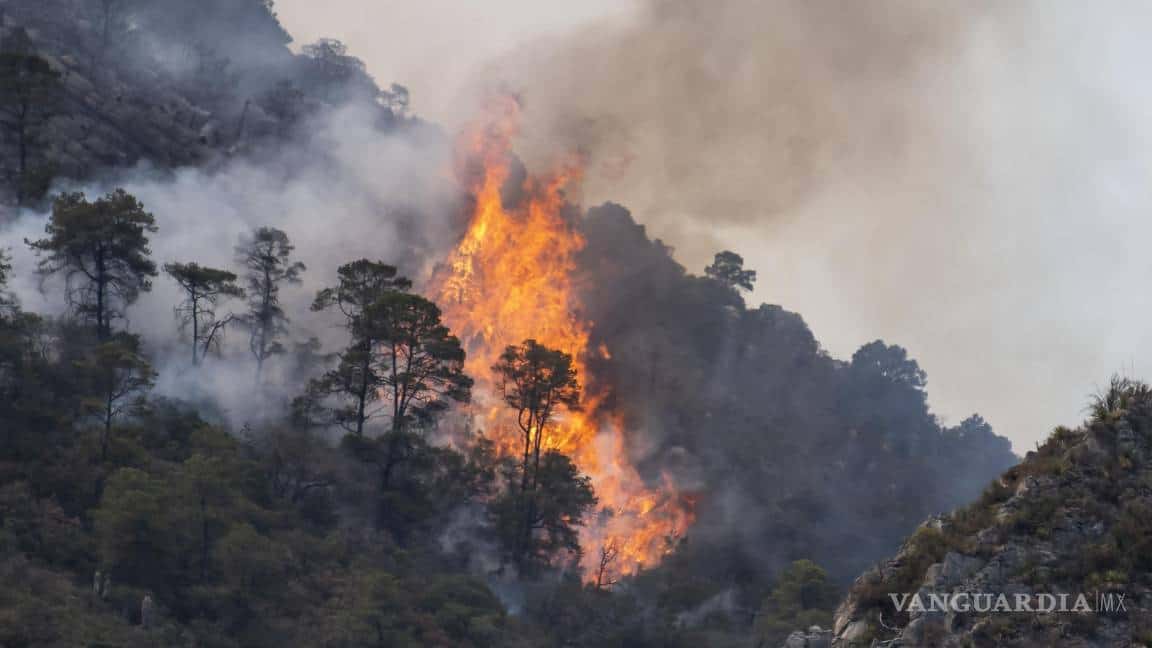 Incendios forestales; han sido los peores
