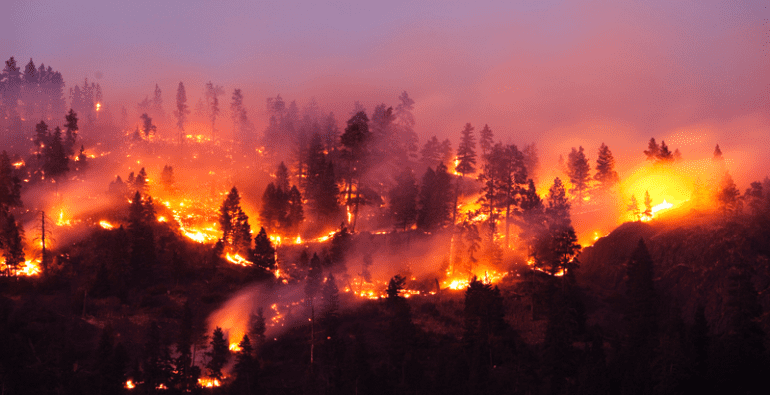 Incendios forestales; han sido los peores