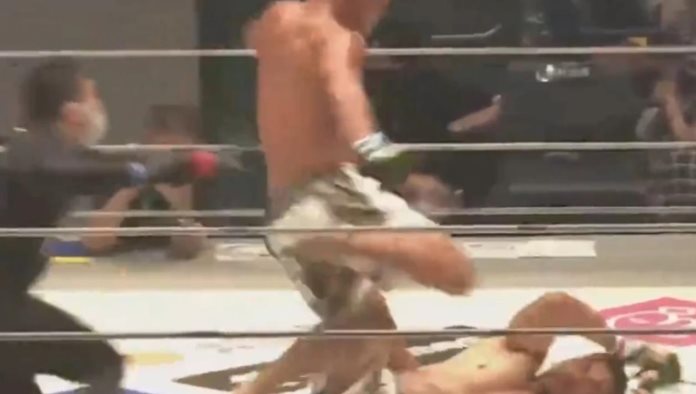 Luchador de MMA le da fuerte patada a su oponente que estaba noqueado