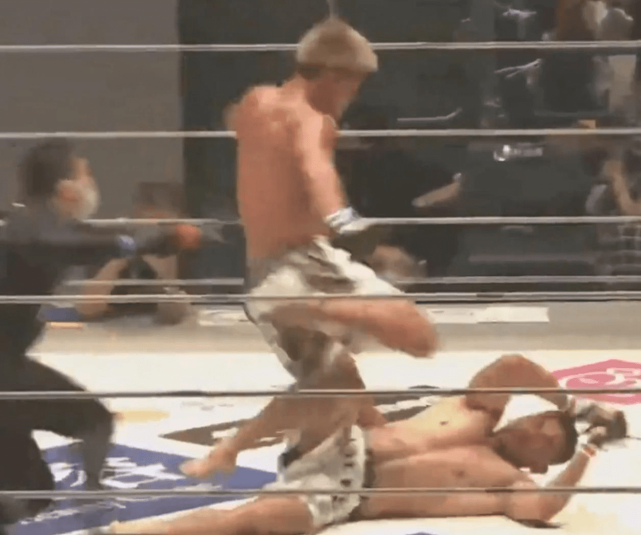 Luchador de MMA le da fuerte patada a su oponente que estaba noqueado