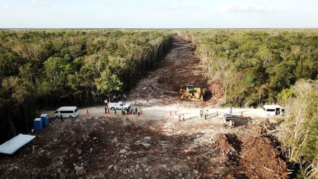 Juez quita 3 amparos de 6 contra el Tramo 5 del Tren Maya