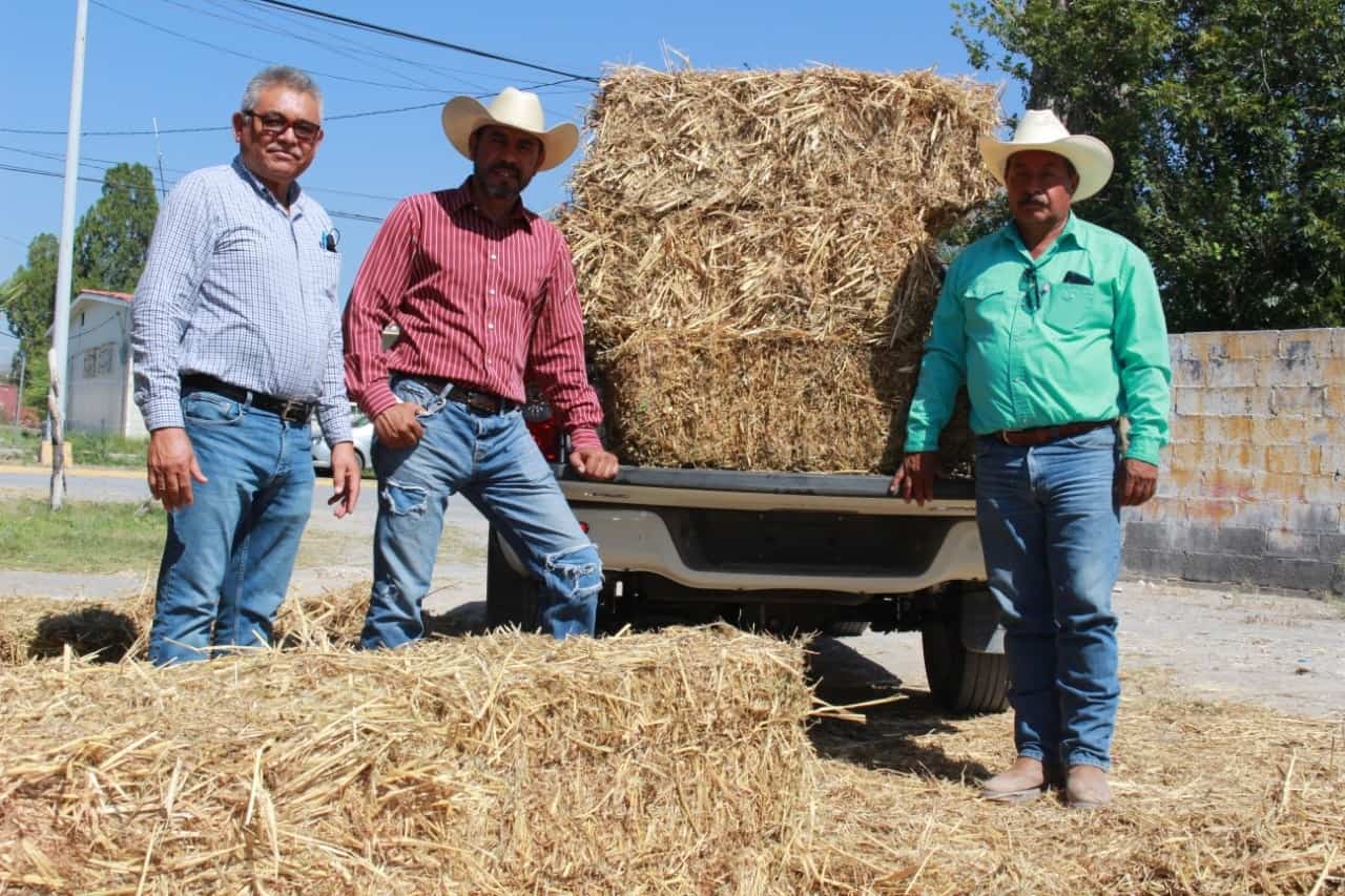 Bloques de suplemento proteínico importados de Estados Unidos siguen siendo distribuidos por sólo cien pesos en las oficinas de Desarrollo Rural para ayudar a los productores ganaderos a hacer frente a la sequía que ha mermado el alimento para sus animales.