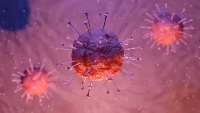 Henipavirus, el nuevo virus chino: ¿cuáles son los síntomas?