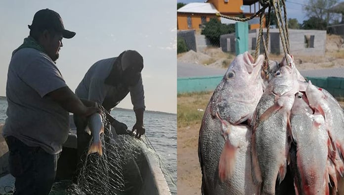 Pesca deja de ser rentable ante la sequía de la presa.