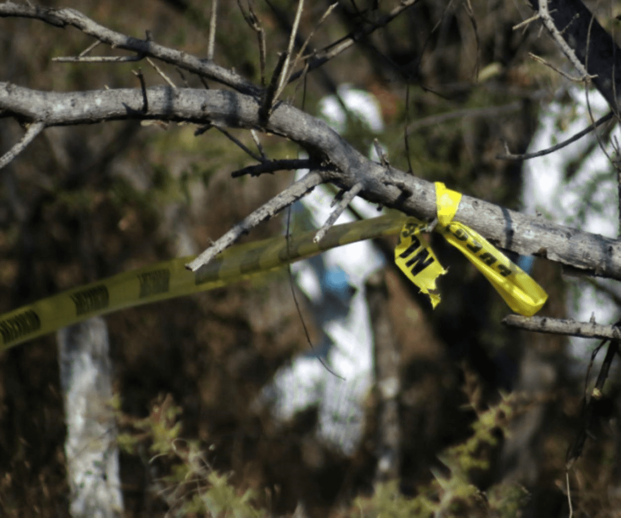 Hombres armados asesinan a padre de familia frente a sus hijos
