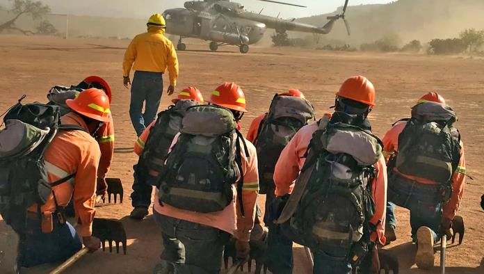 Día Internacional del Combatiente de Incendios Forestales