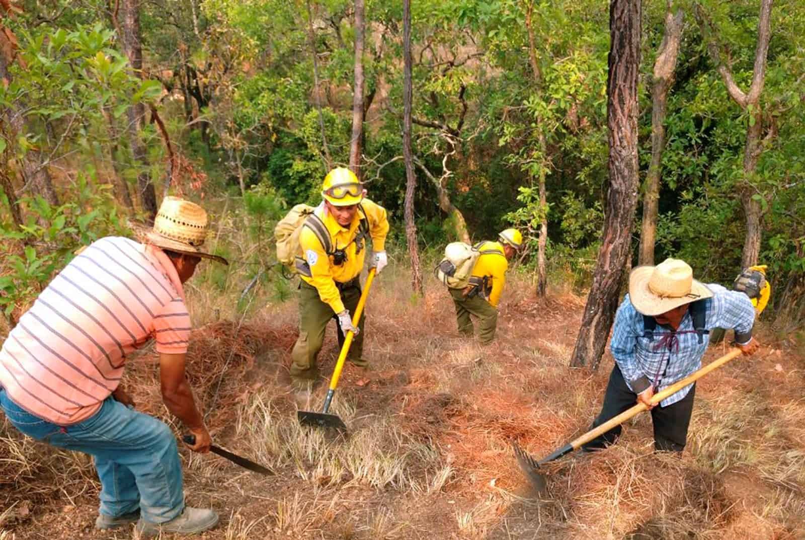 Día Internacional del Combatiente de Incendios Forestales