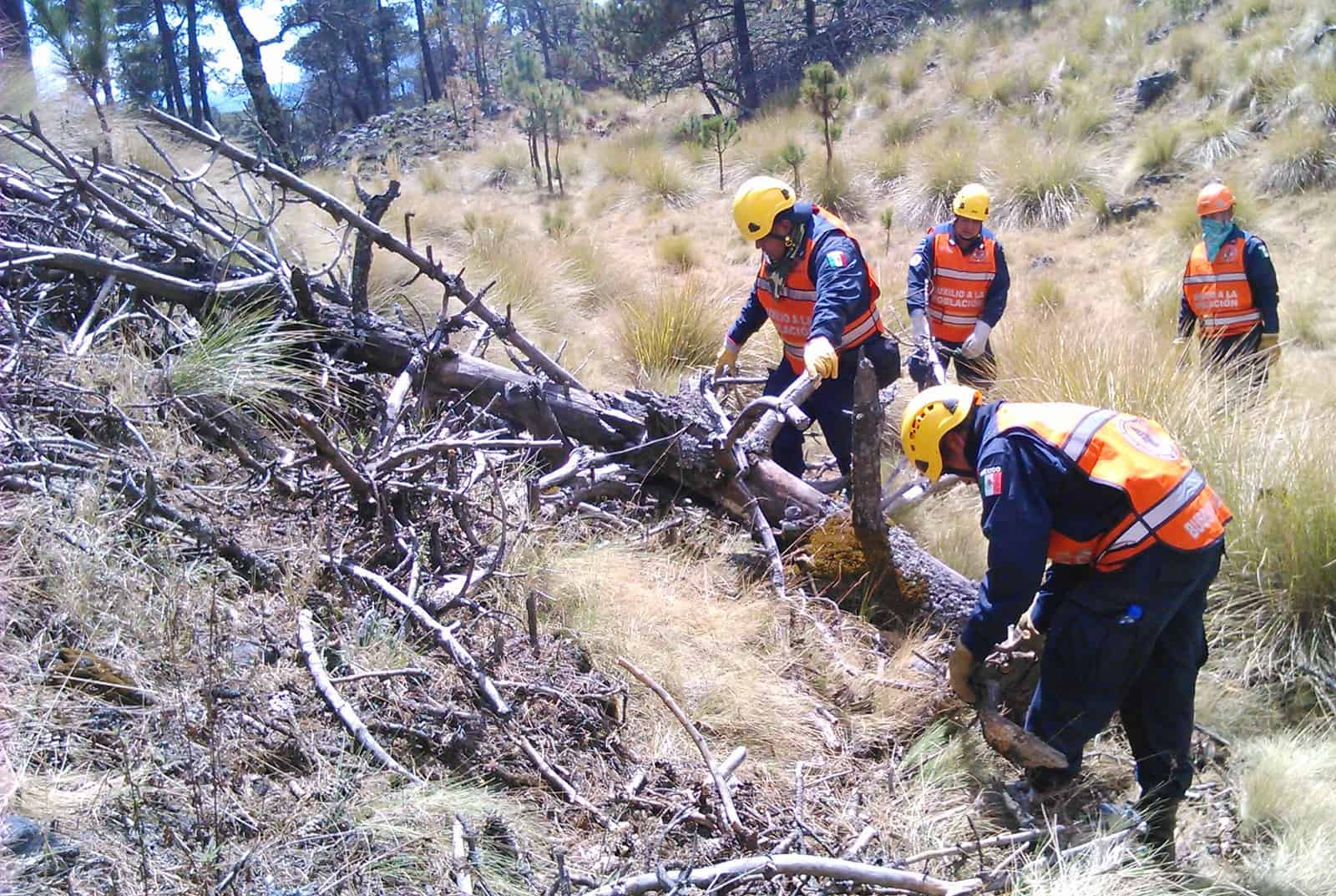 Día Internacional del Combatiente de Incendios Forestales