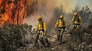 Día Internacional del Combatiente de Incendios Forestales
