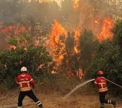 Día Internacional del Combatiente de Incendios Forestales