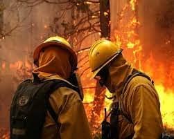 Día Internacional del Combatiente de Incendios Forestales