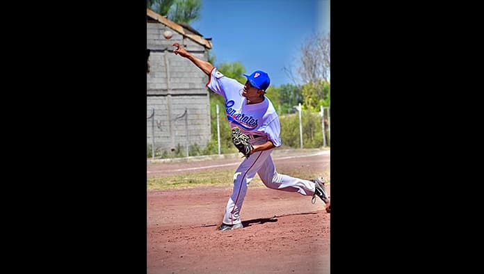 Estadísticas de la Liga de Beisbol de Primera Fuerza